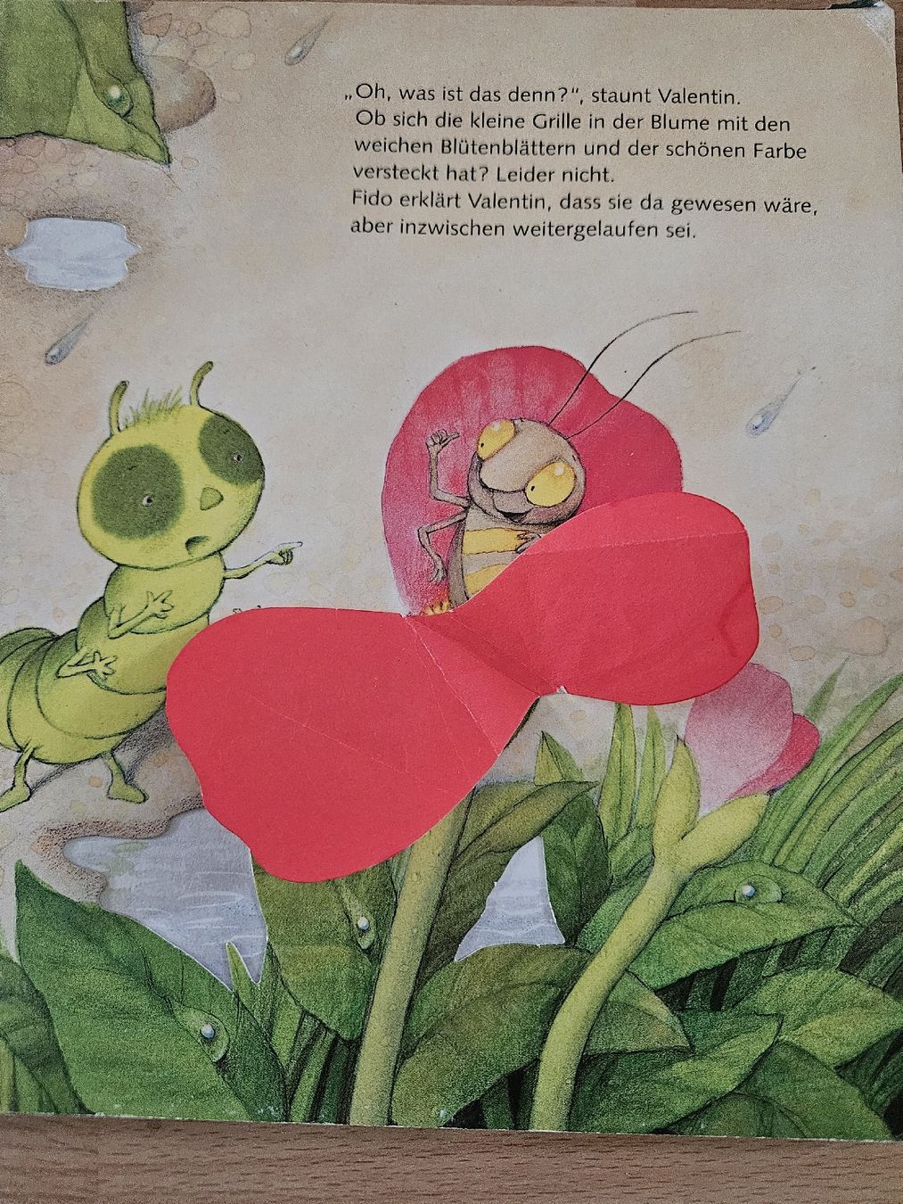 Libri: Fühlbilderbuch "Valentin, was ist das?" – Usato da Zürich venduto da Kris8050 7