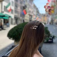 Nala (2pcs) :: Hairpin Haarklammern