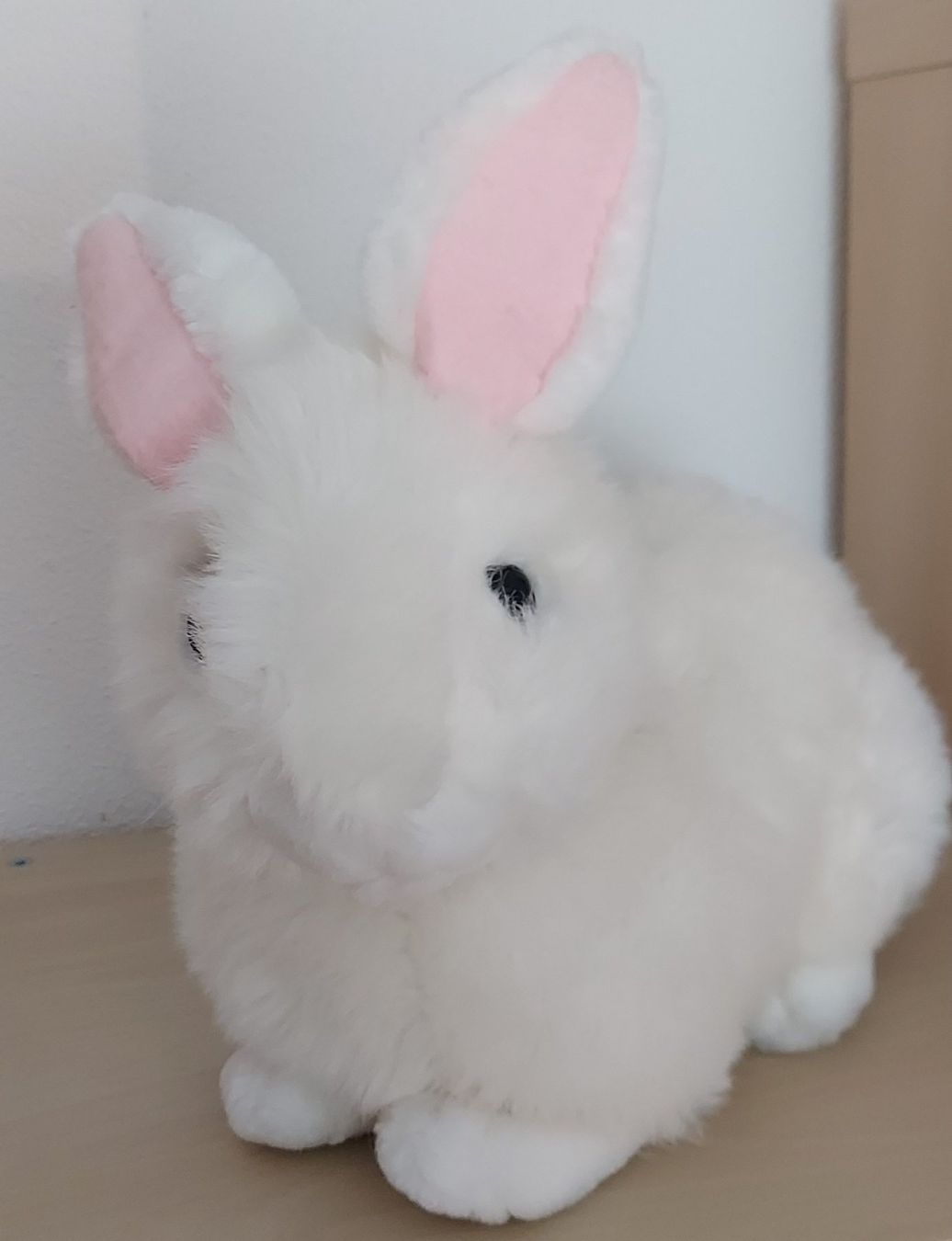 Giocattoli: Hase weiss – Usato da Steckborn venduto da Quo7 1