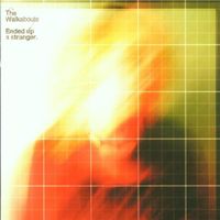 The Walkabouts - Ended Up A Stranger