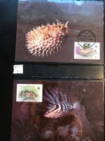 WWF Antigua&Barbuda 1987 Riff-Fische Karibik Maximumkarten