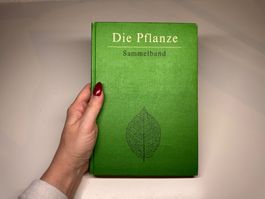 BUCH: Die Pflanze Sammelband