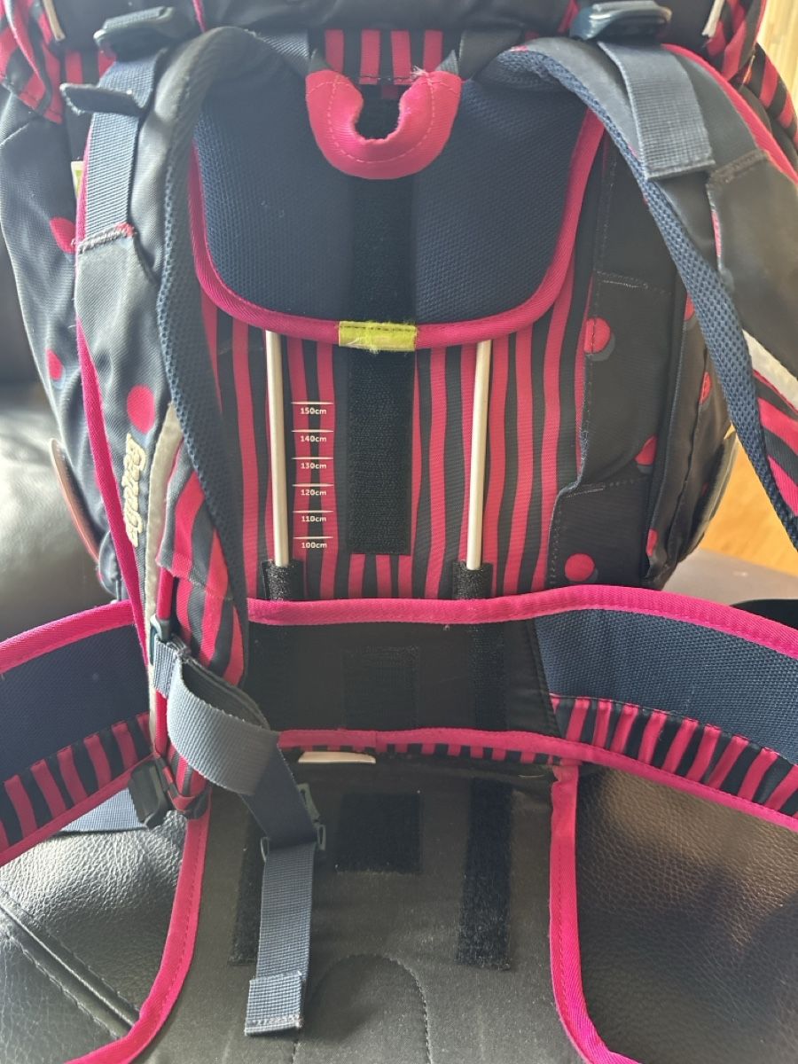 Ergobag Borse & Zaini: Schulrucksack Ergobag gebraucht – Usato da Bülach venduto da eugig5 5