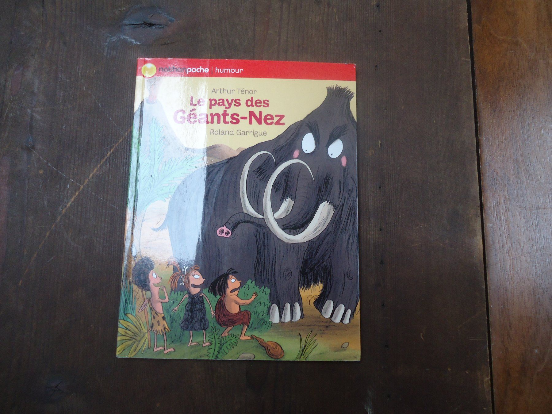 Libri: Le pays des Géants-Nez – Usato da Vessy venduto da bm.par
