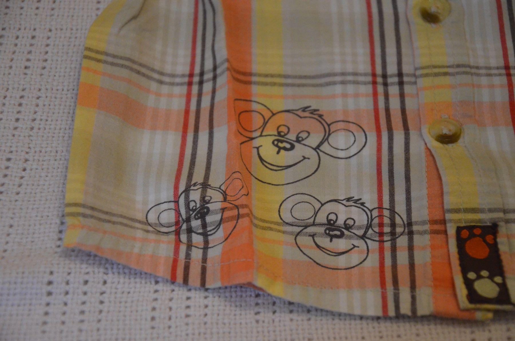 Camicie, Top & T-shirt: TAILLE 68 - 3 HEMD – Usato da Chiasso venduto da Dolly015 3