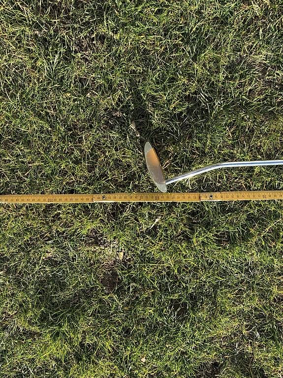 Schläger & Sets: Ping Putter Nelli Herren – Gebraucht aus Erlenbach ZH von van_dj9c 4
