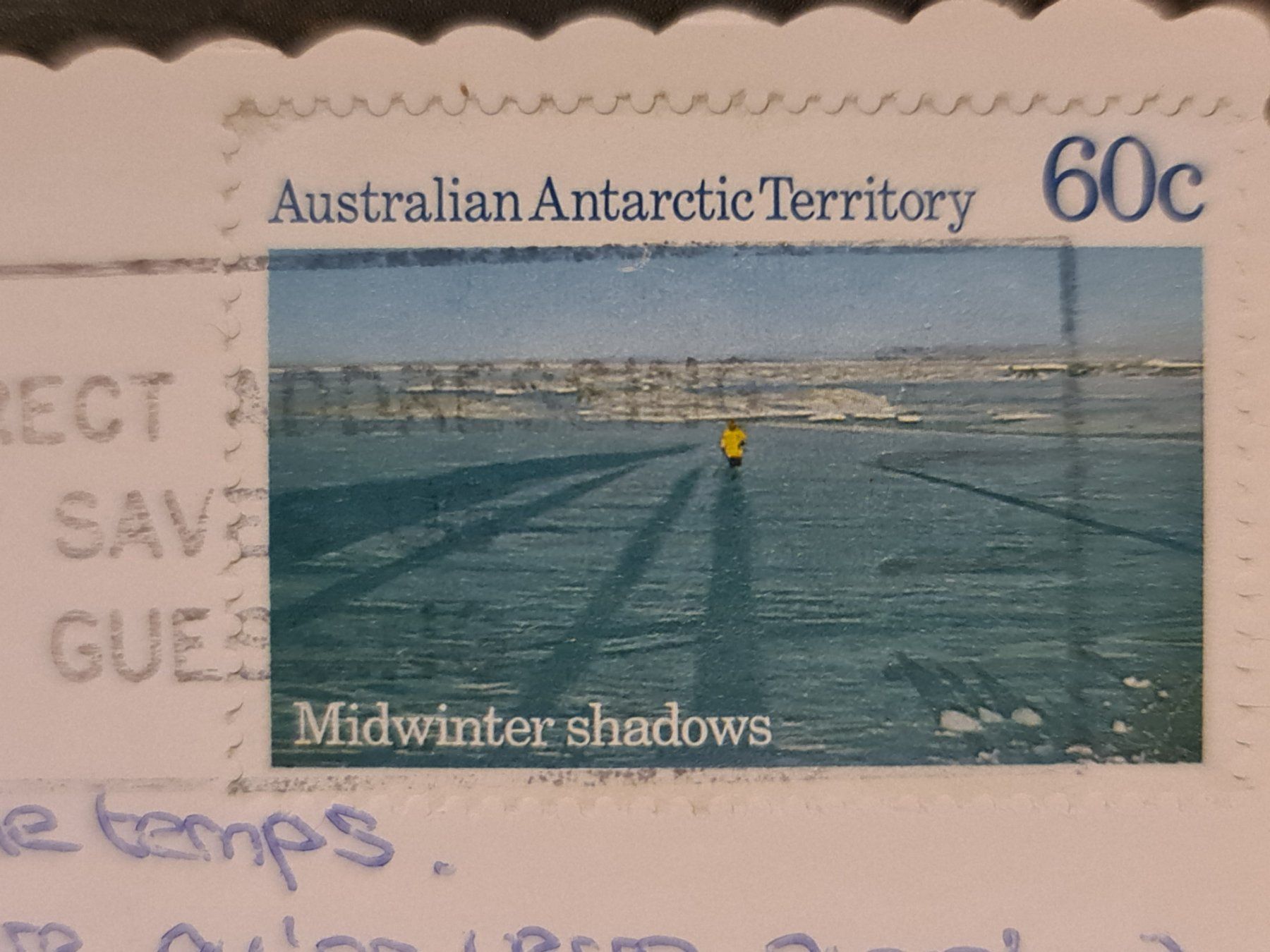 Cartoline postali: Ansichtskarte Koala Postkarte Lone Pine Australien – Usato da Dintikon venduto da Vexi 1