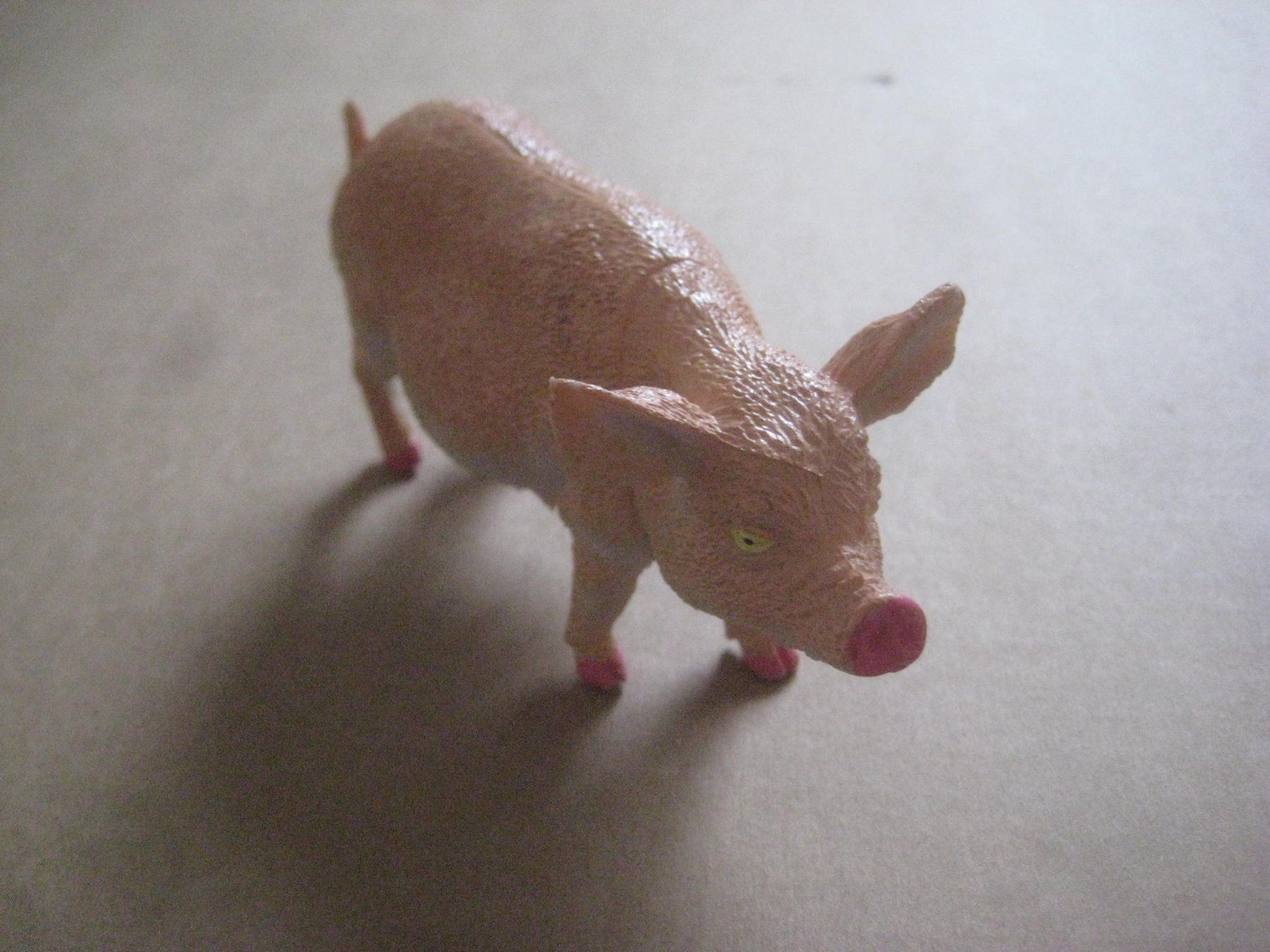Spielzeuge: SCHWEIN – Neu (gemäss Beschreibung) aus Uster von flocke1 1