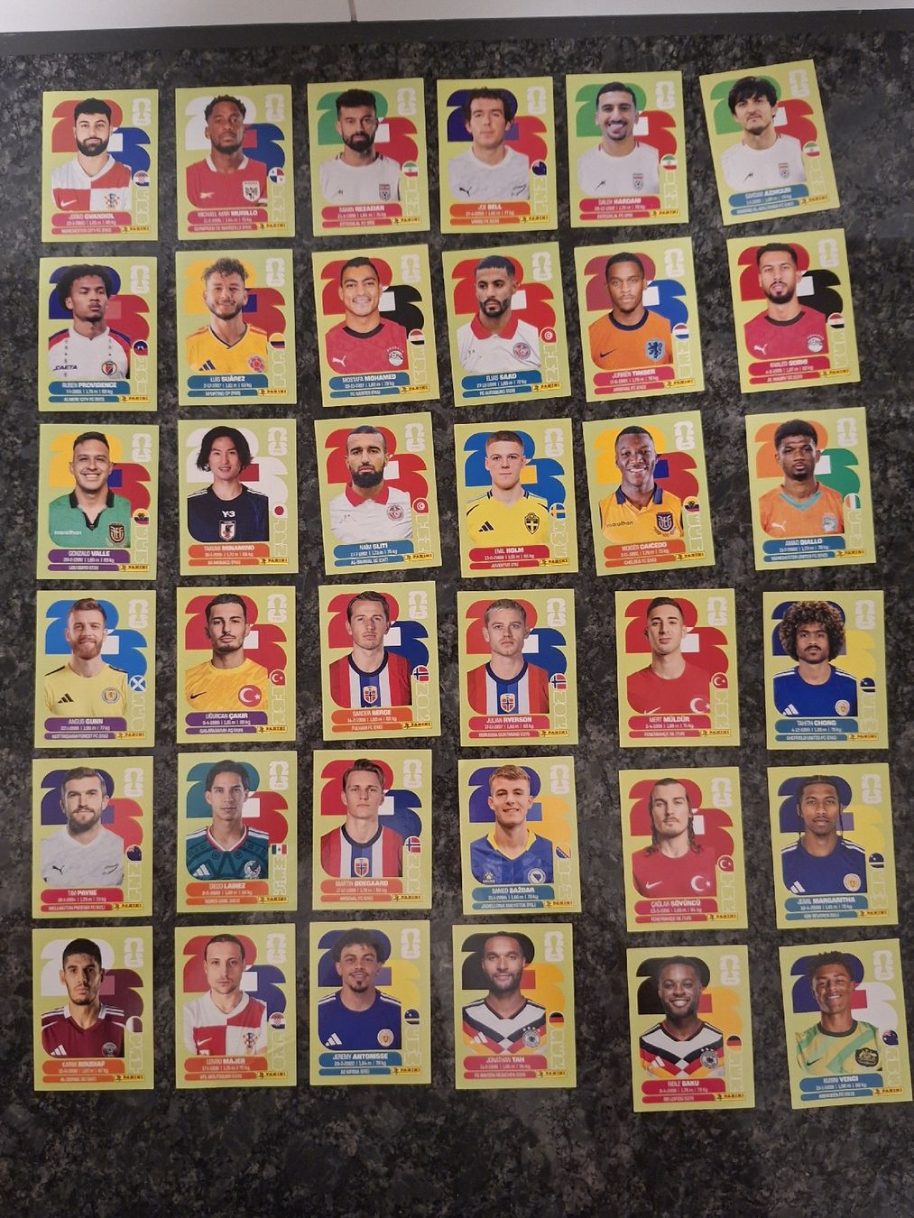 Panini Sammelbilder & Trading cards: Fifa Worldcup Panini Diverse neuwertig – Neu (gemäss Beschreibung) aus Zürich von schlizohr