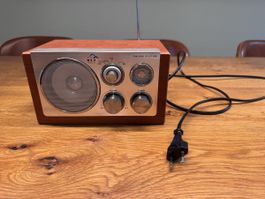 Radio FM/AM System 