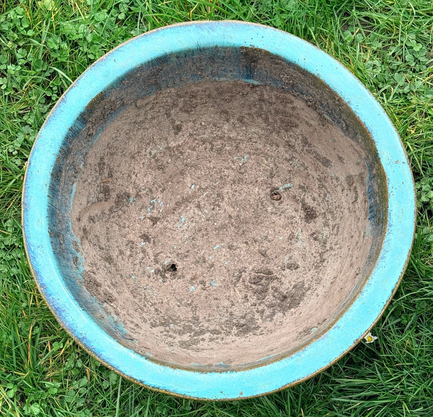 Blumentöpfe: Terracotta Topf Winterfest/Bonsaischale***** – Gebraucht aus Dübendorf von Orchid18 1