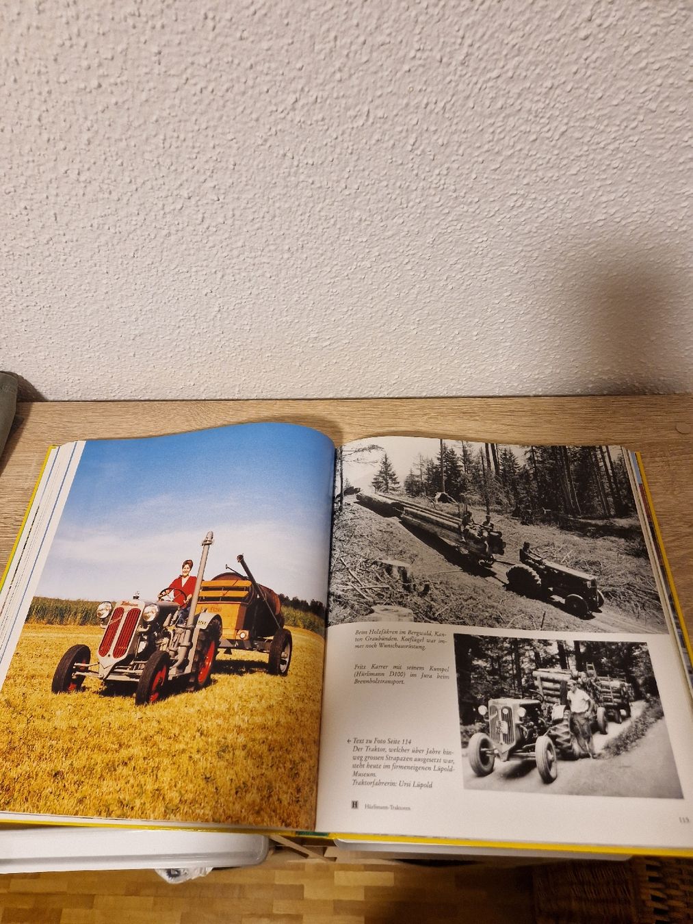 Libri: Hürlimann Buch  – Usato da Bichelsee venduto da KoRe91 4