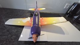 Robbe Rear Bear Nanojet – Der gutmütige Pylon-Einsteiger