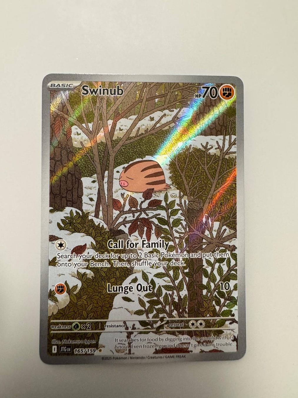 Pokémon Carte collezionabili: Swinub | Illustration Rare | JTG 165/159 | EN – Usato da Spreitenbach venduto da Snacky96 2