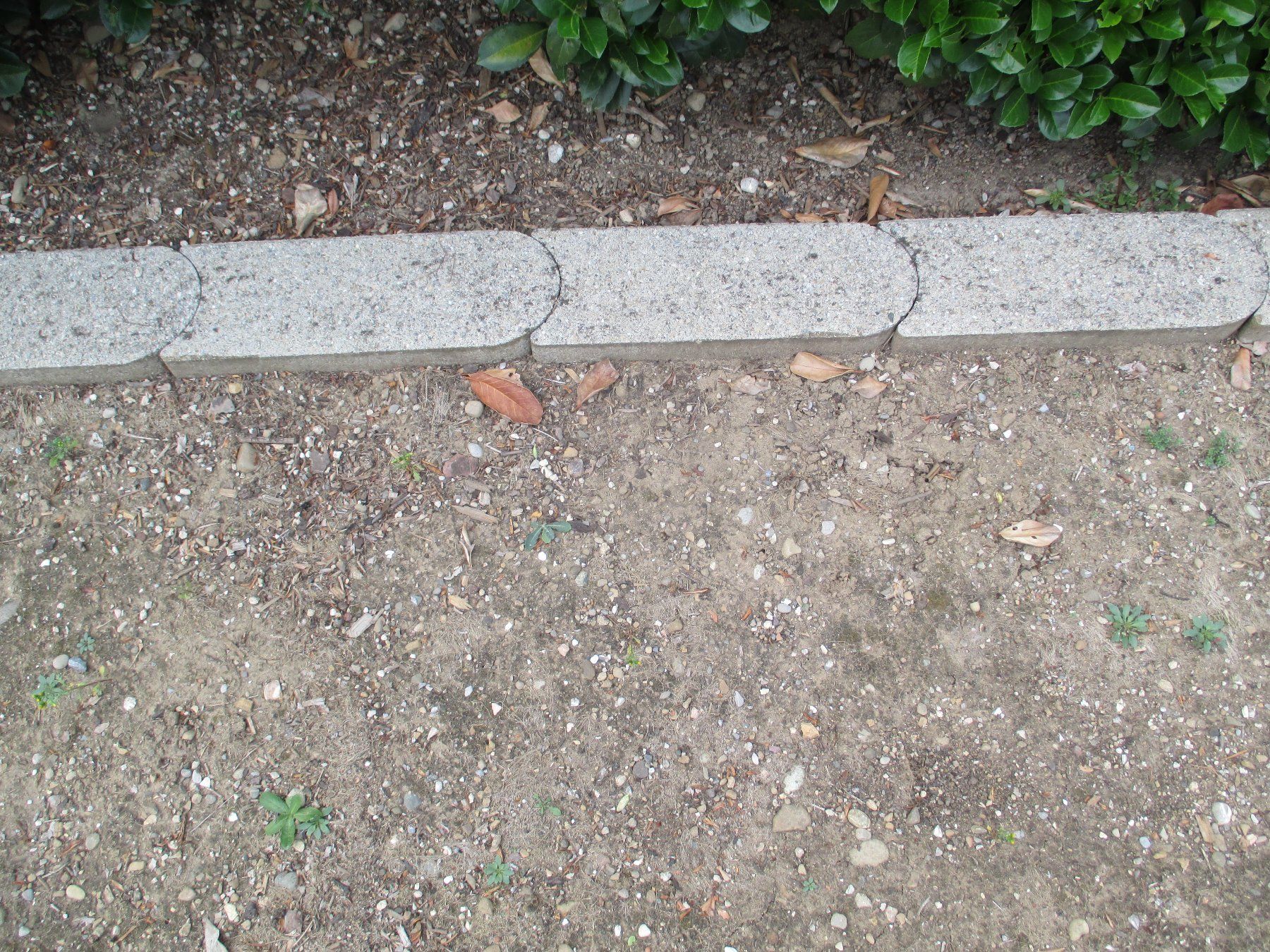Rivestimenti per pavimenti: 18 Rasenkantensteine Beton – Usato da Kloten venduto da Duro55 4