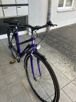 Velo - Citybike - Tigra Biwat