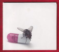 Red Hot Chili Peppers - I'm With You (CD)