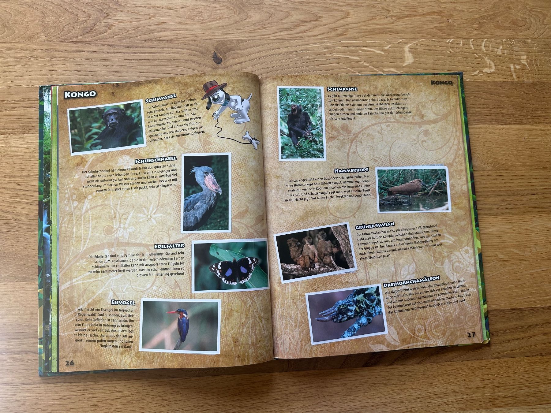 Libri: Regenwald Buch – Usato da Falera venduto da duca73 4