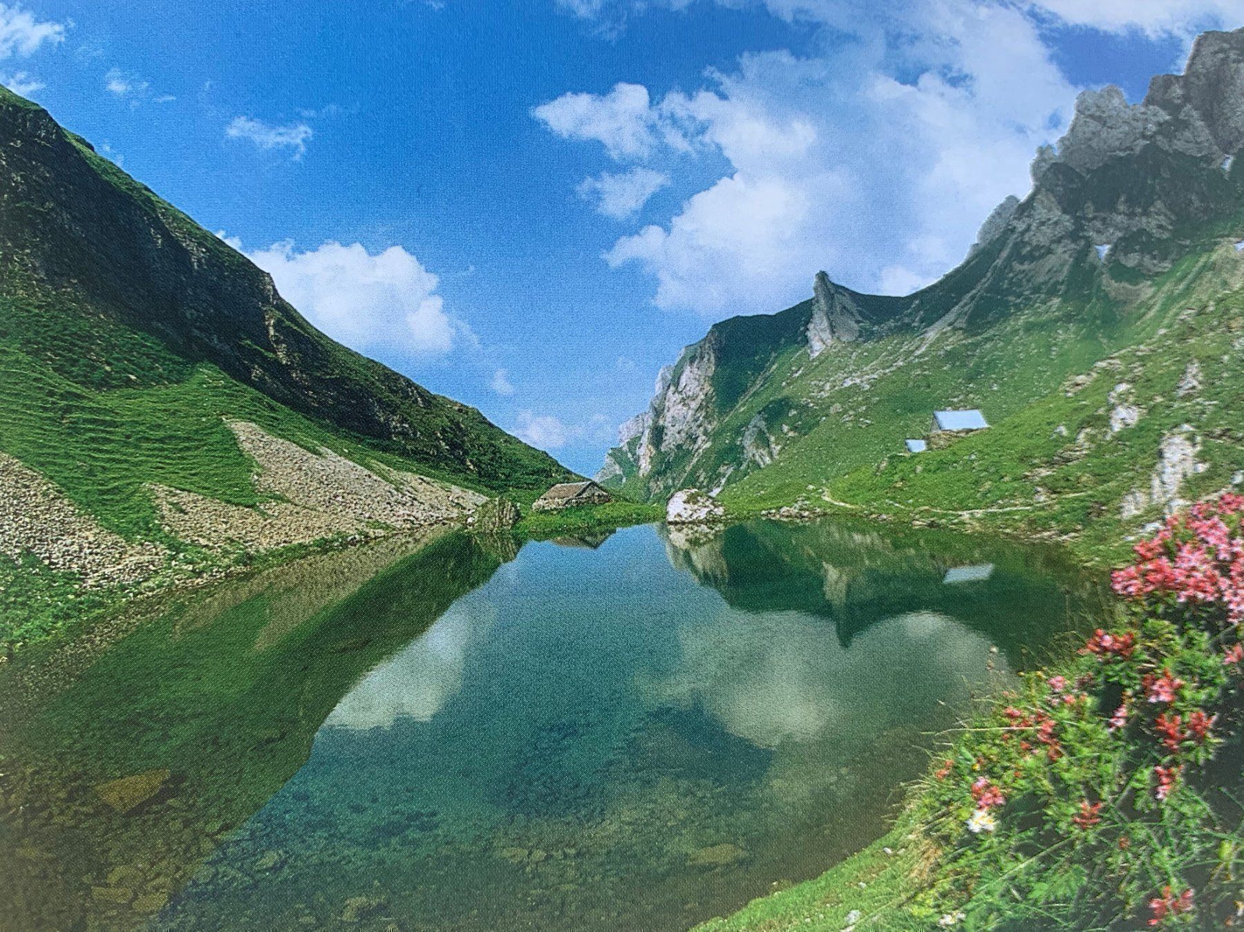 Libri: Der Alpstein – Usato da Volketswil venduto da zwitsch33 1