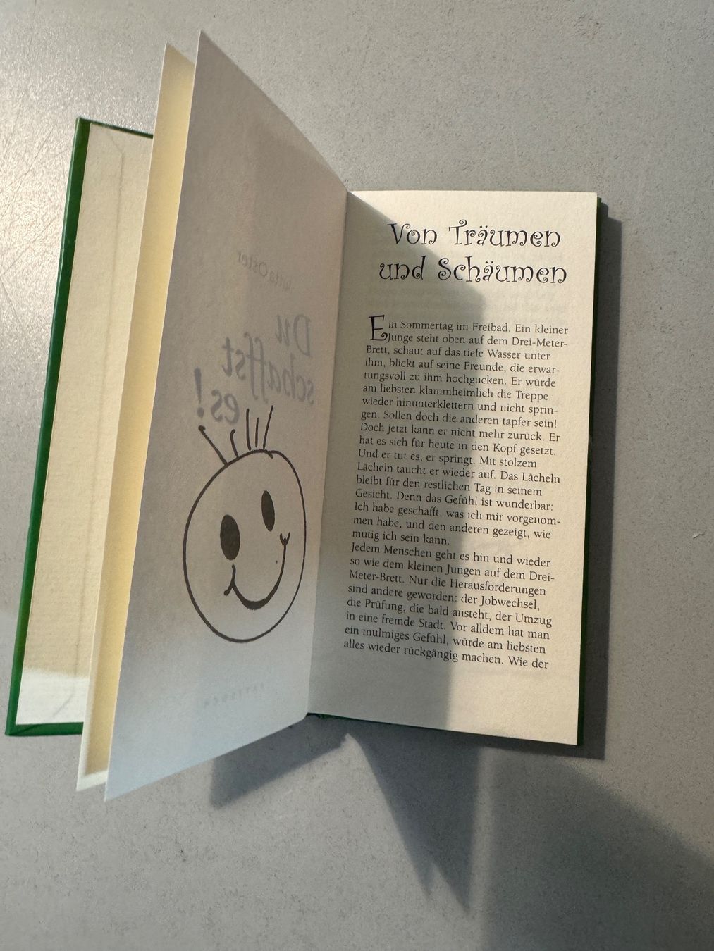 Libri: Du schaffst es! Mutmachbuch Jutta Oster Pattloch Verlag – Usato da Erstfeld venduto da Mario_boe0 1