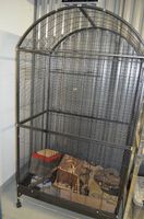 Degu-Komplett-Set zu verkaufen