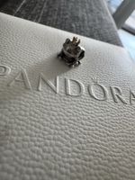 Pandora Charm