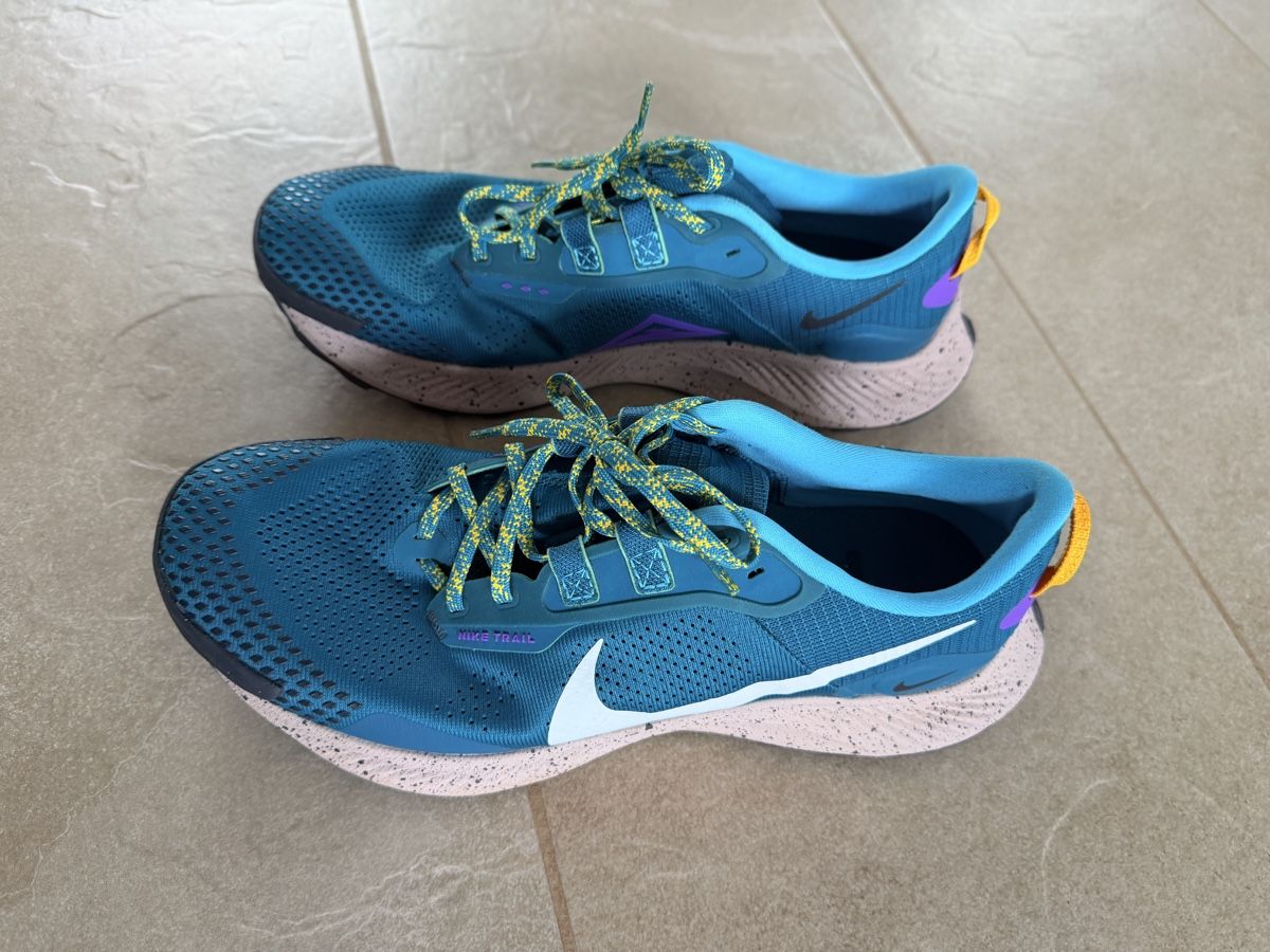 Nike Scarpe da uomo: Nike Pegasus Trail Laufschuhe Gr. 44.5 – Usato da Brüttisellen venduto da Ayersa
