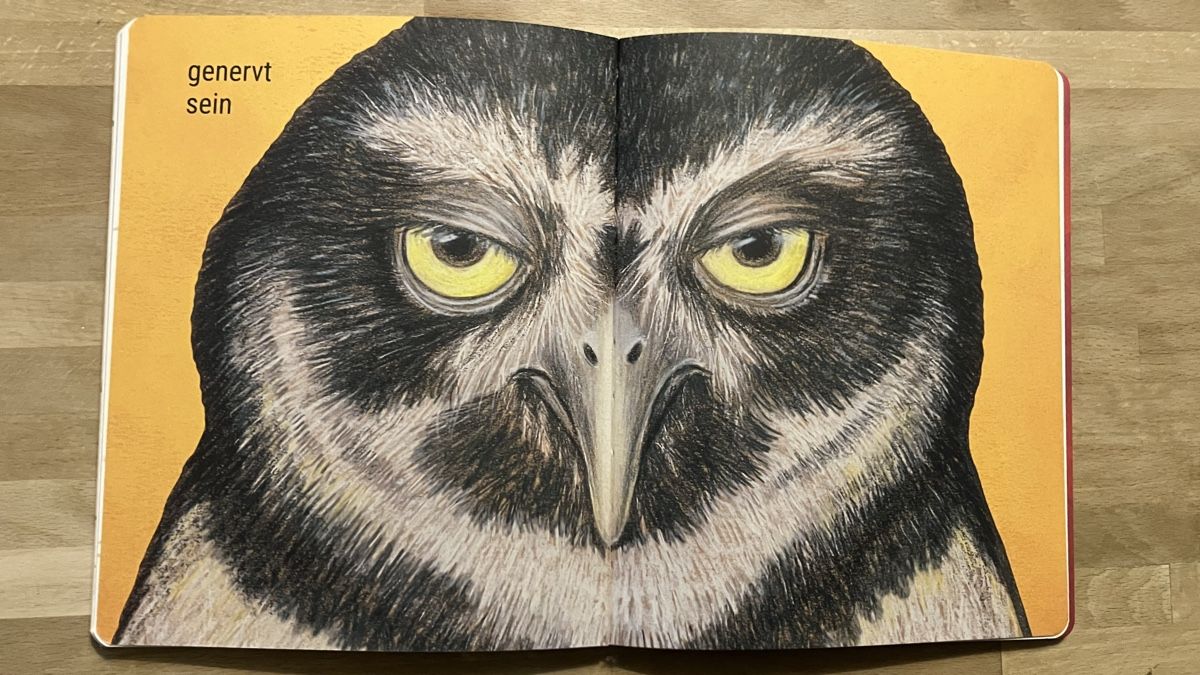 Libri: Kinderbuch "da sein" von Kathrin Schärer, top Zustand! – Usato da Wettingen venduto da Vichli 1