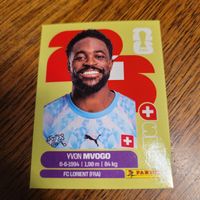 Panini 26 MVOGO
