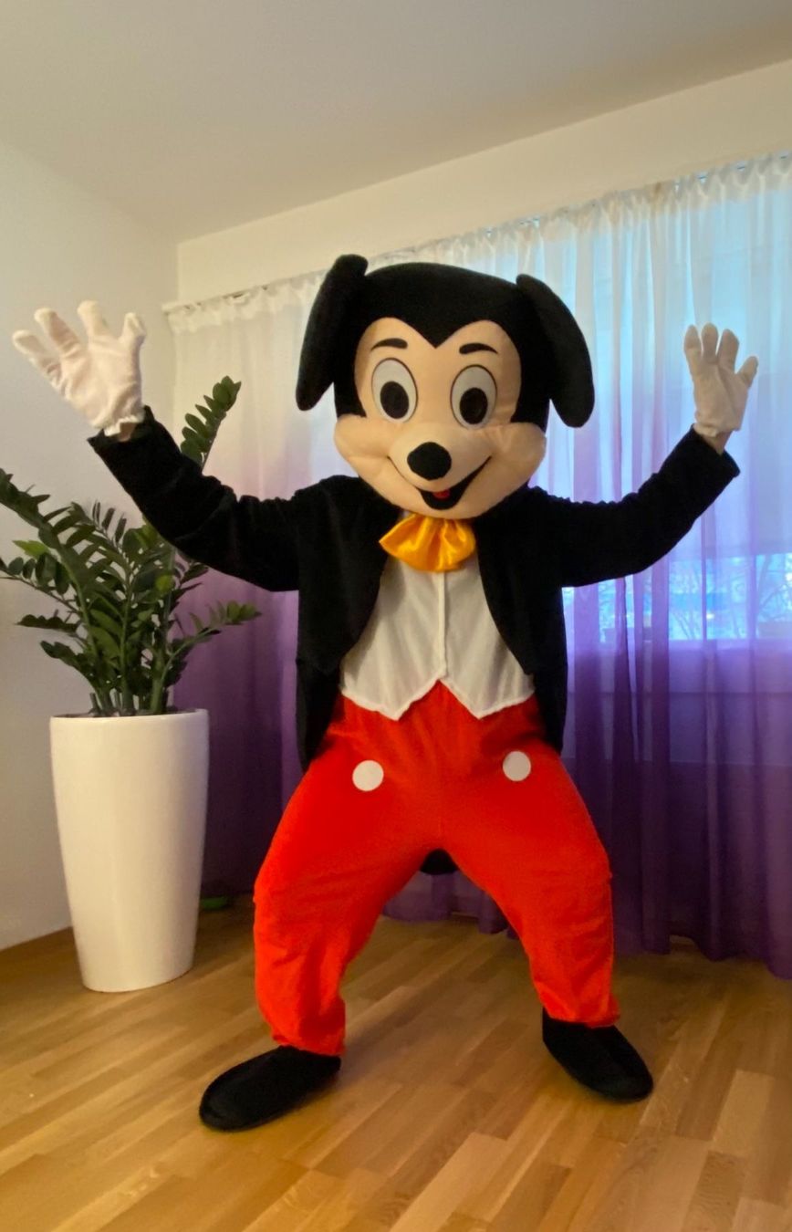 Costumi: Maskottchen Miete 1Woche – Usato da Burgdorf venduto da eins-A 6