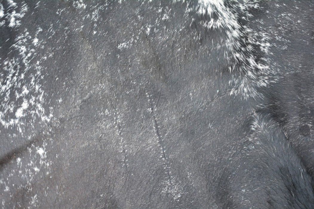 Tappeti: echtes Kuhfell Teppich Black/White – Nuovo e nell'imballaggio originale da Arbedo venduto da patagonialeatherrugs 2