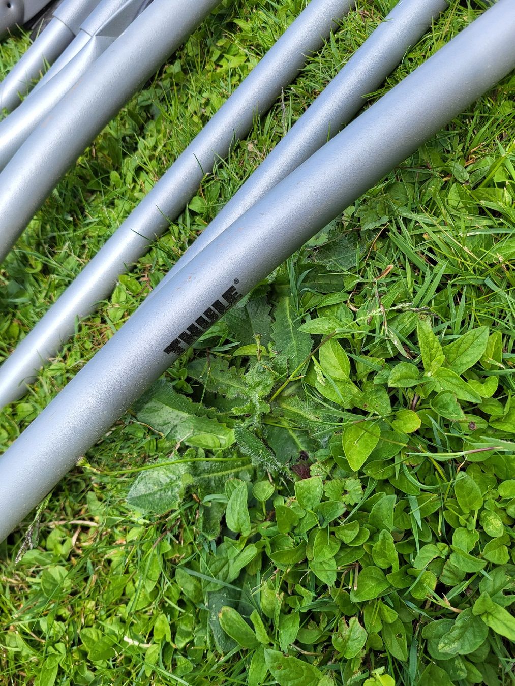 Thule Dachträger: Porte vélo  Thule  – Gebraucht aus Courfaivre von Jo.hulmann 1
