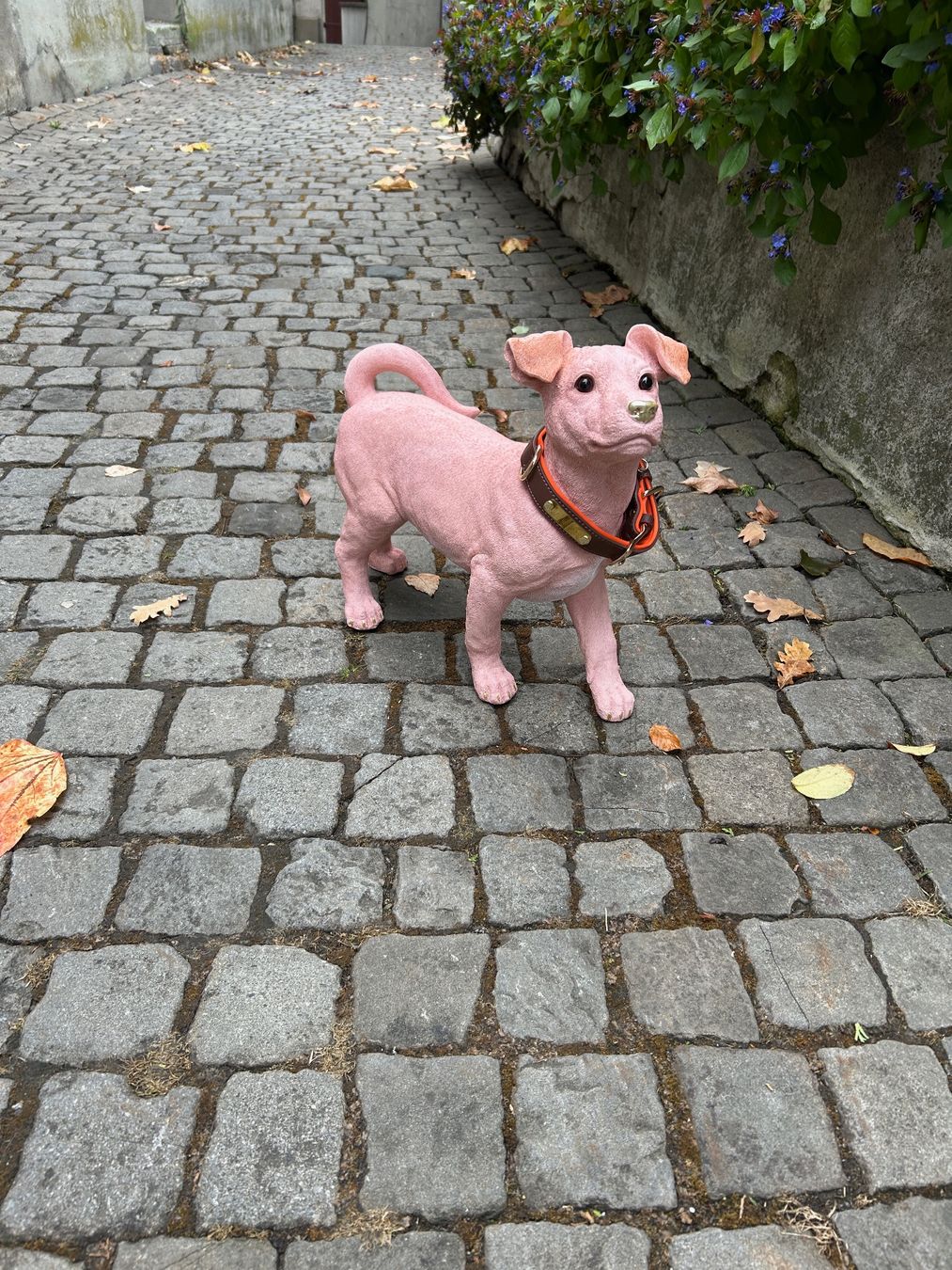 Statuette: H U N D rosa Nackthund – Usato da Rheineck venduto da emma.gut 9