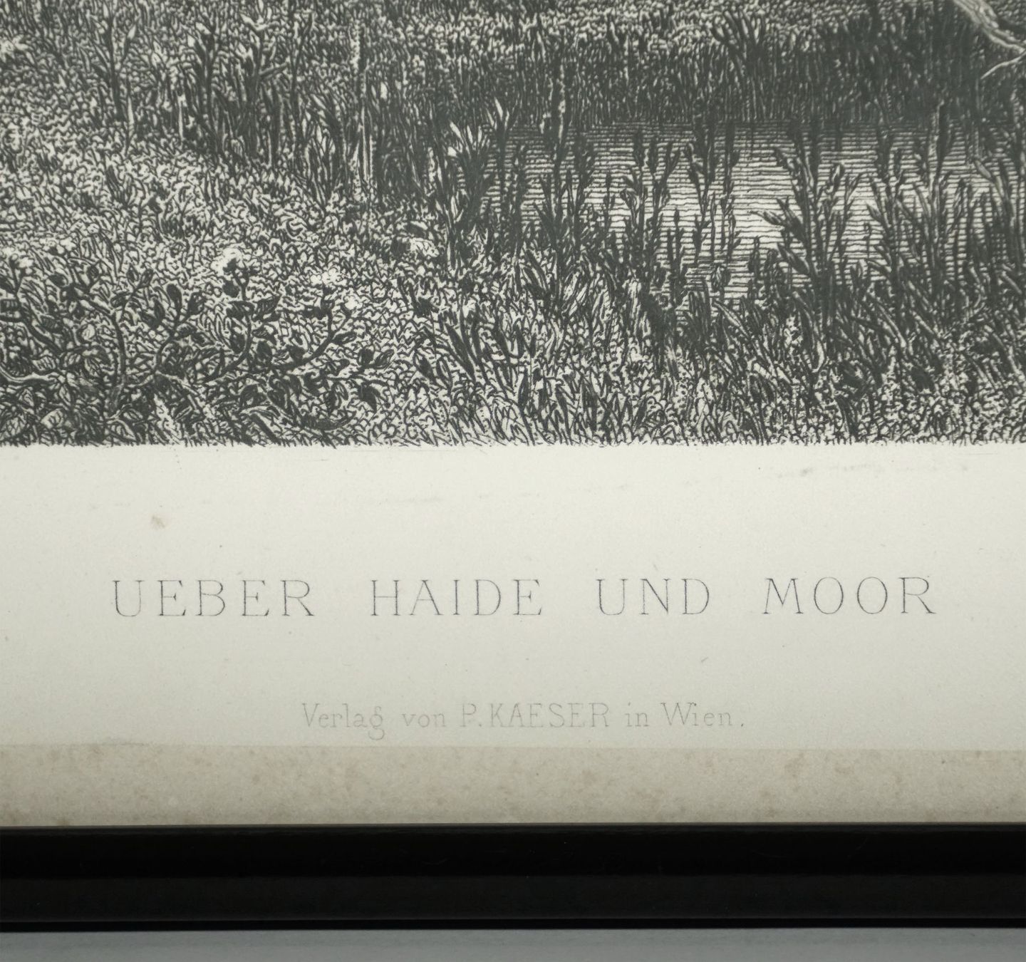 Dipinti: 3 antike Kunstdrucke nach J. Marak, Stecher E. Willmann – Usato da Meggen venduto da Trouvaillen 5