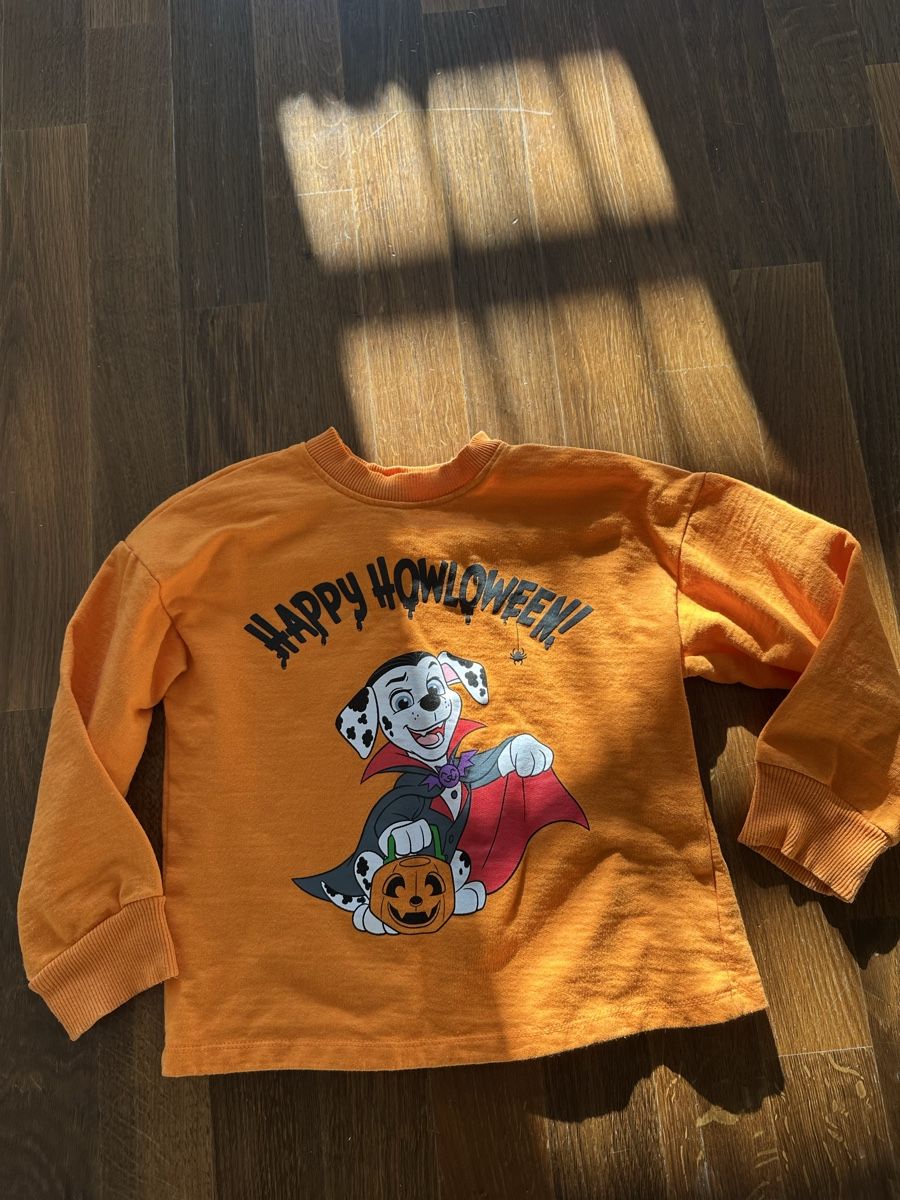 Maglioni & Felpe: Pullover Gr.122 Halloween – Usato da Dietikon venduto da mike.thorton