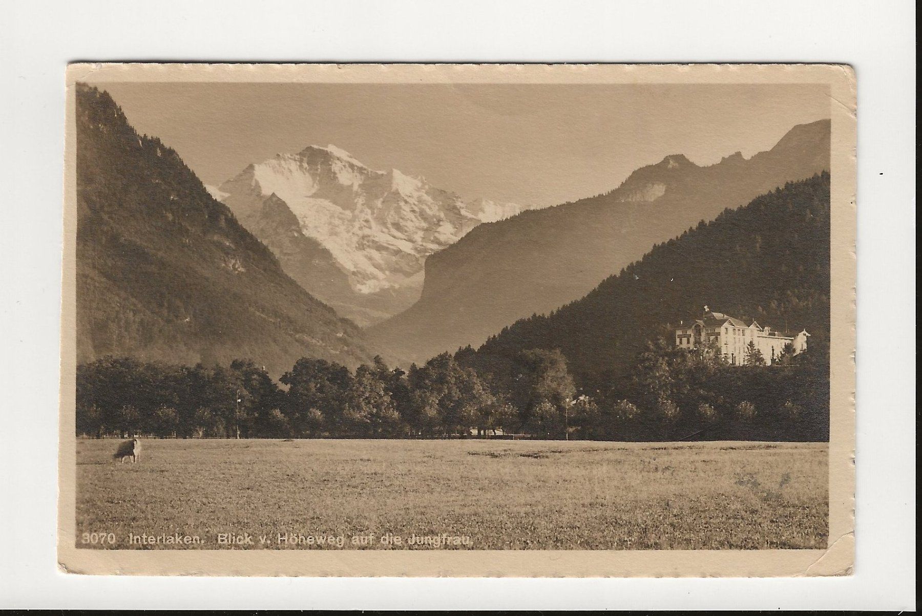 Cartoline postali: AK 1913  Interlaken, Höhematte, Jungfrau – Usato da Greifensee venduto da 315WDO