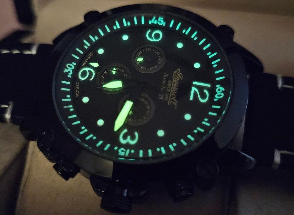 Ingersoll Bison No. 29 Automatik Limited Edition 20 Steine Kaufen auf Ricardo
