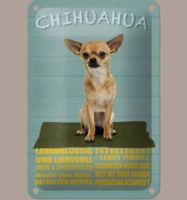 🔥 CHIHUAHUA Hunde Blechschild 🎀 12x18cm OVP🔥