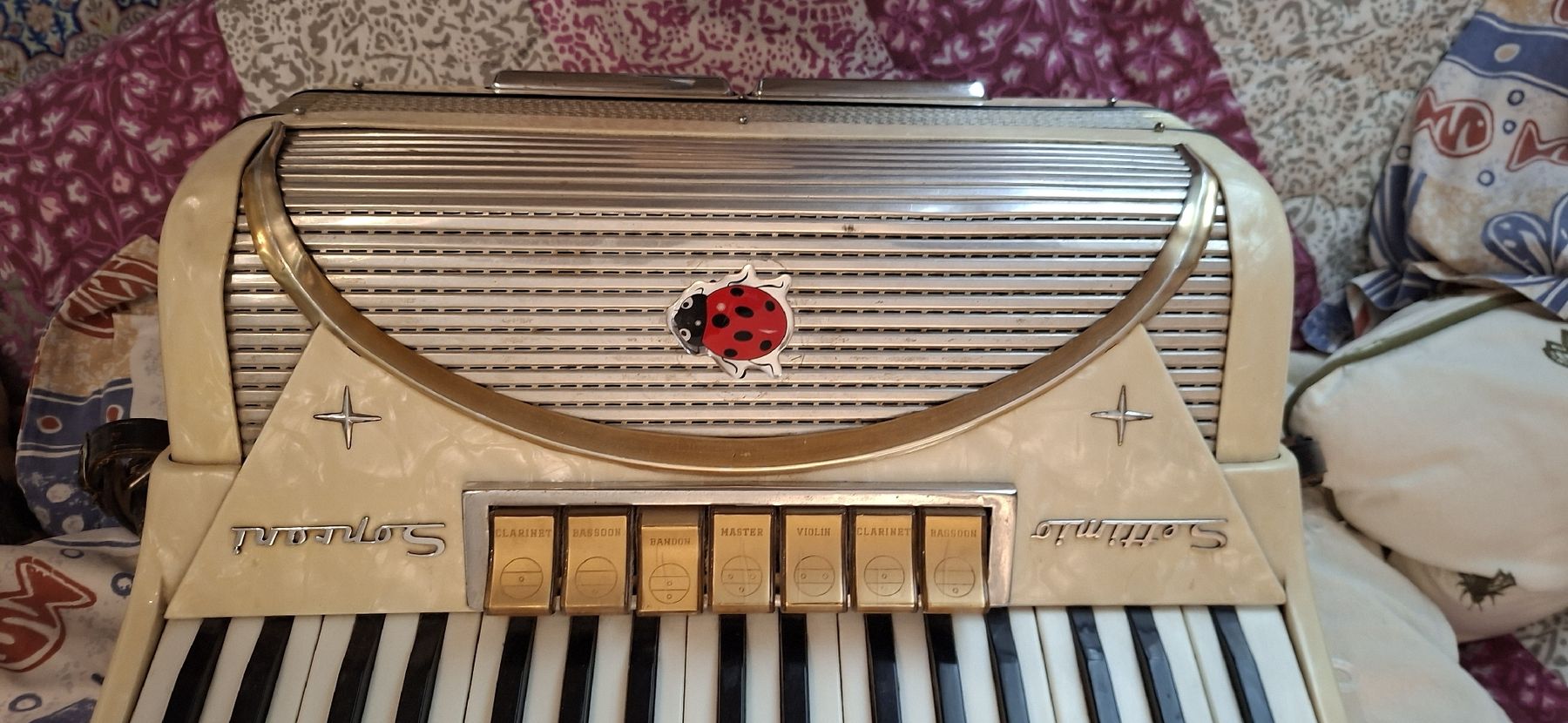 Musikinstrumente: Handorgel – Gebraucht aus Uster von Floda