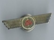 Mini Cooper PIN