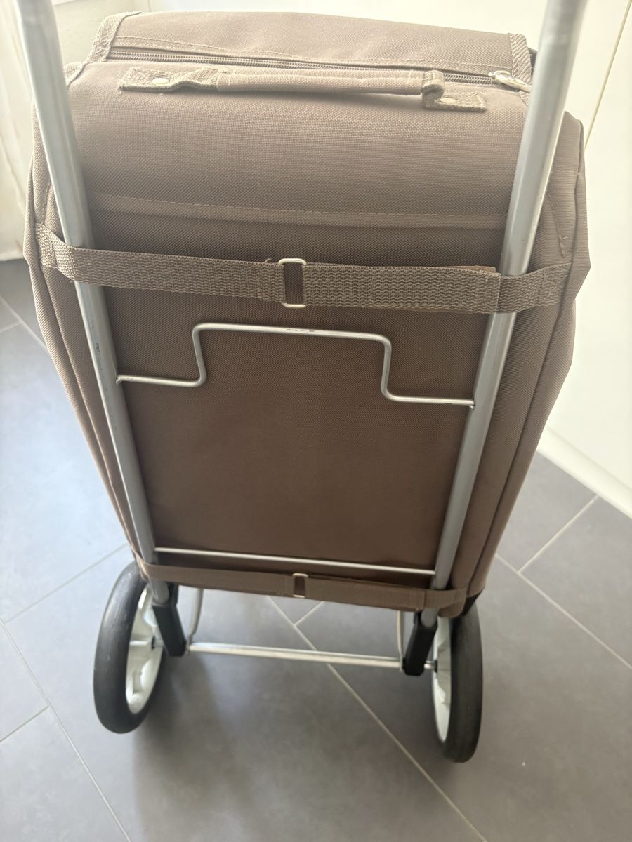 Altro per la casa: Einkaufstrolley , NP 129 CHF , NEU  – Nuovo (secondo la descrizione) da Obbürgen venduto da bugi6868 3