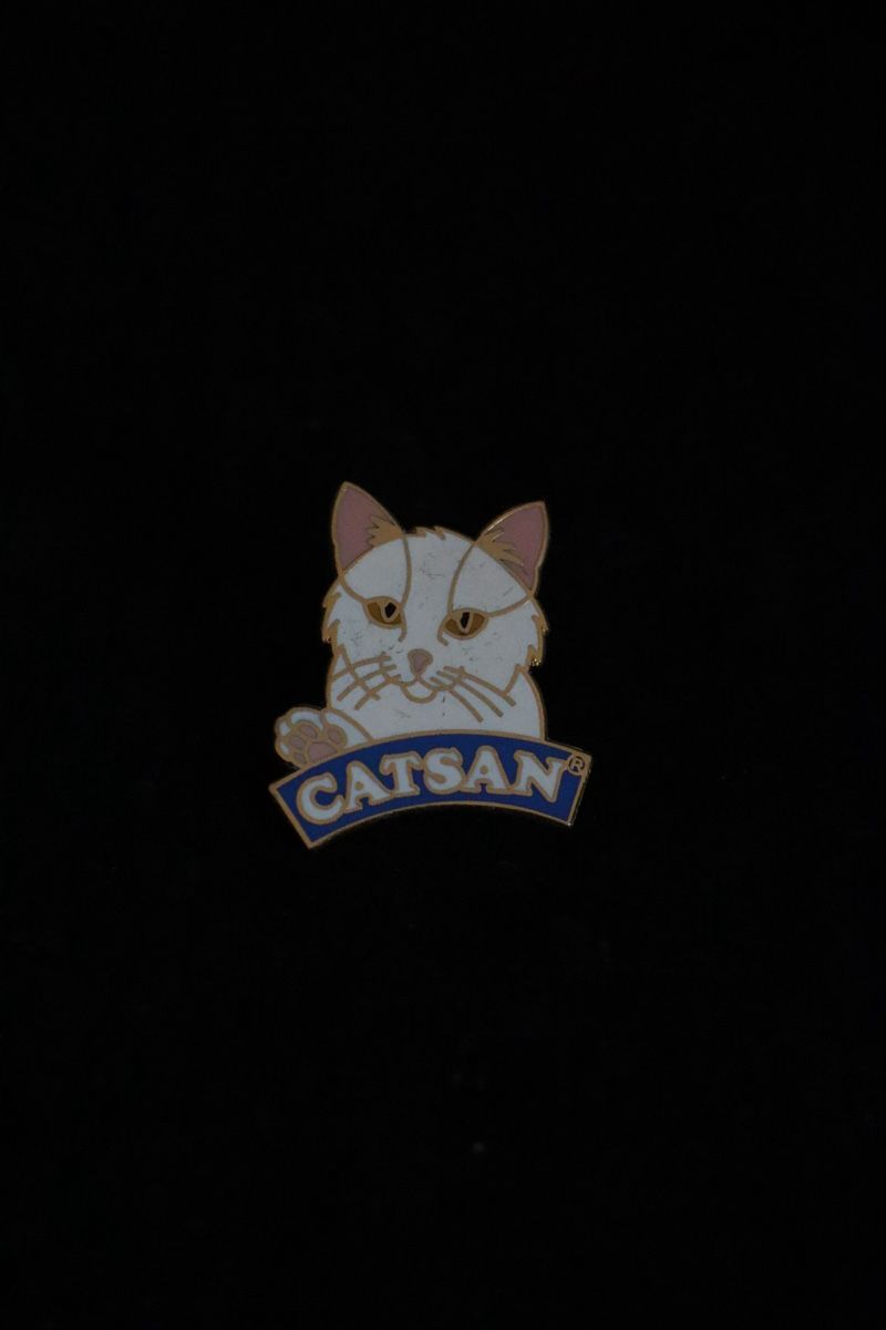 Placchette & Badge: Catsan PIN‘s – Usato da Ottenbach venduto da siiinnaa_77 3