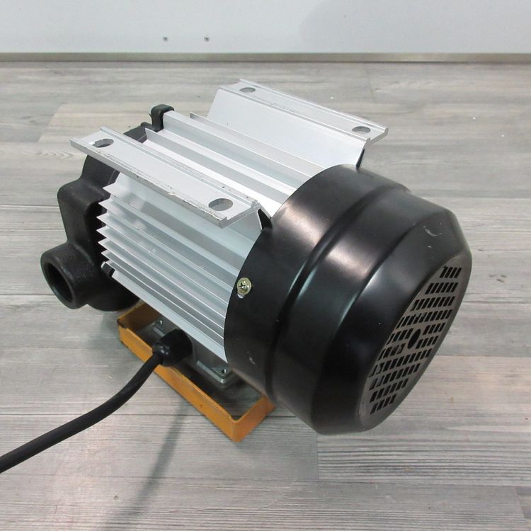 230V Dieselpumpe 550 Watt - 4.200 L/h Heizölpumpe Kraftstoff