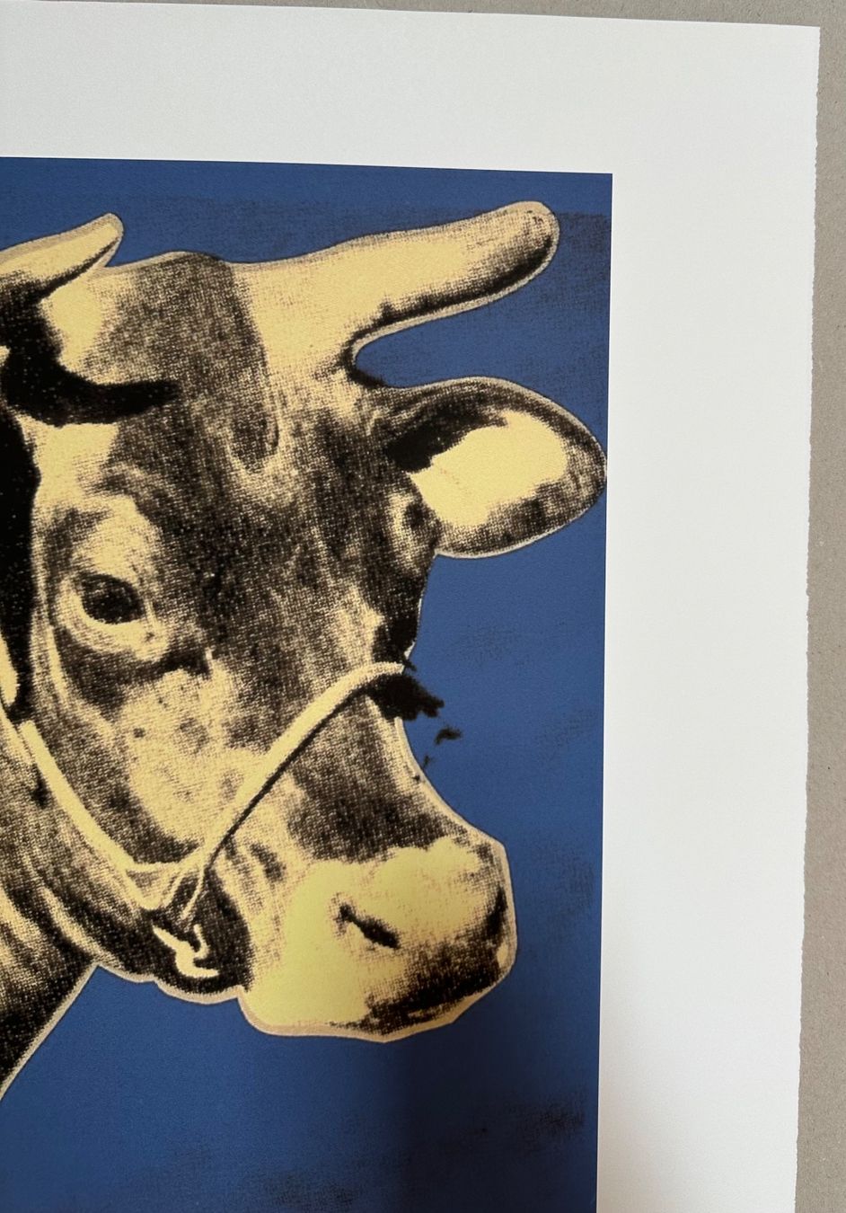 Dipinti: Andy Warhol: Cow, POP ART 87/100 – Nuovo (secondo la descrizione) da Meilen venduto da Smgdesign 4