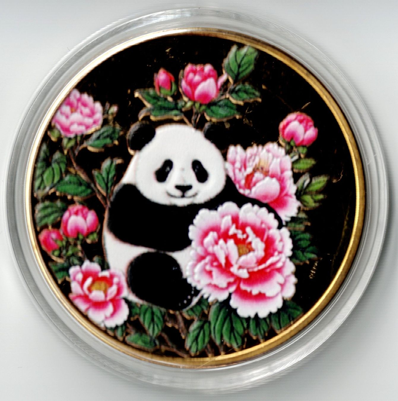 Médailles: Panda_Medaille 1 – Neuf (Voir description) à Hombrechtikon par Fraese01