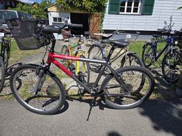 Terrano suisse star MTB