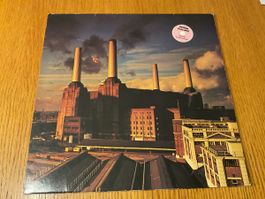 Pink Floyd Animals Vinyl Pink coloured limited edition