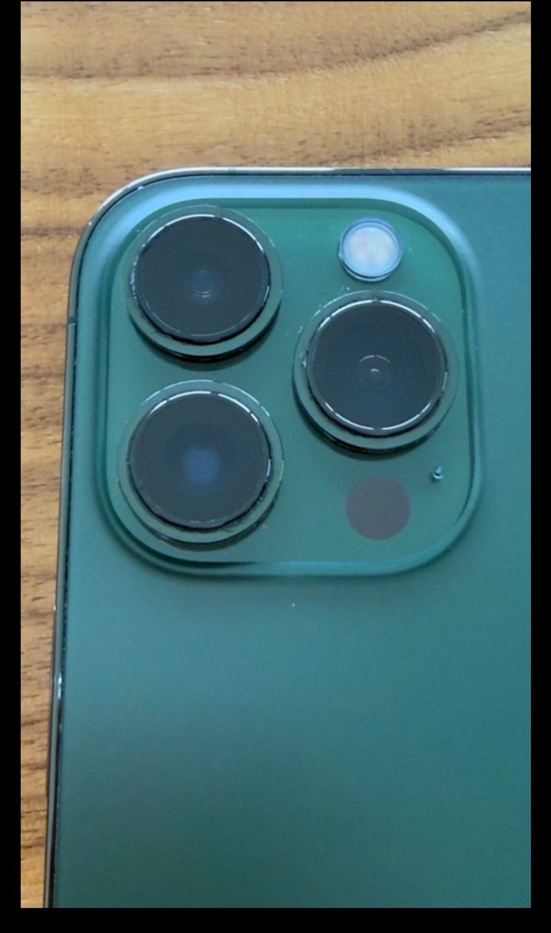 Apple Telefoni cellulari / Smartphones: iPhone 13 Pro Max - Alpingrün- 1 TB Speicher – Usato da Fällanden venduto da fai_n5tr