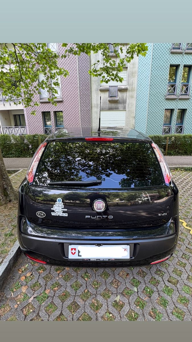 Fiat Automobili: Fiat Punto 1.4 8V – Usato da Liestal venduto da Mummi12 1