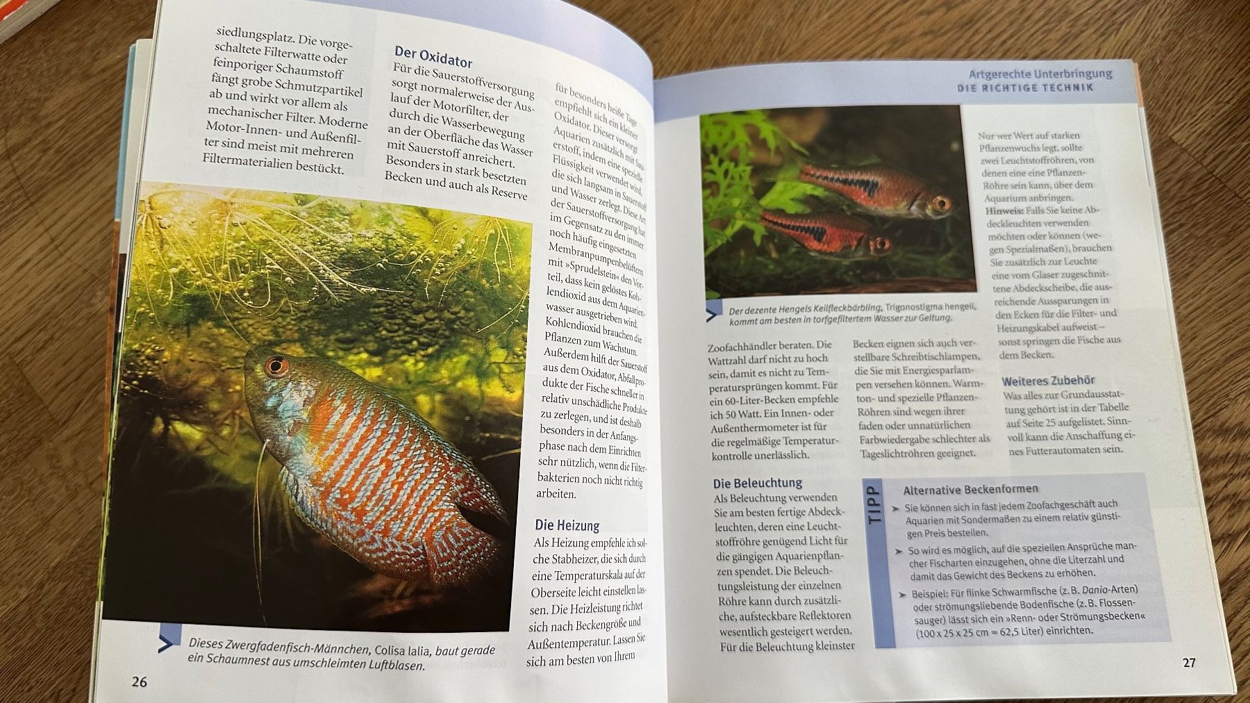 Bücher: Ratgeber kleine Aquarien – Gebraucht aus Krauchthal von Kiddy32 2